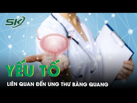 Các Yếu Tố