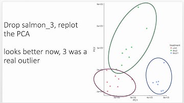 RNA-seq results explained: what you can expect from an analysis