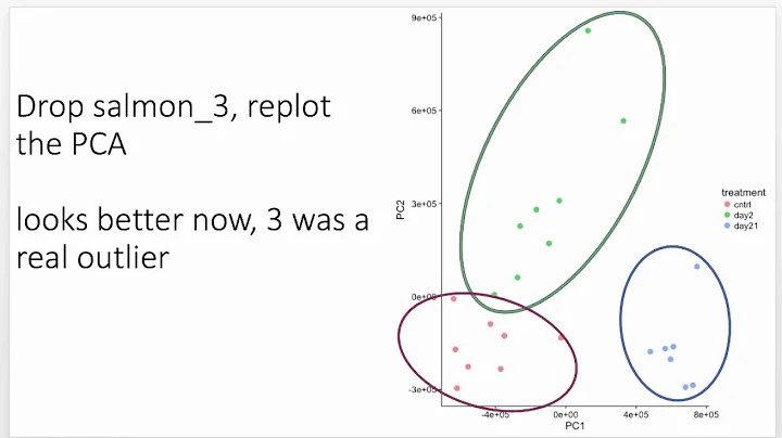 RNA-seq results explained: what you can expect from an analysis