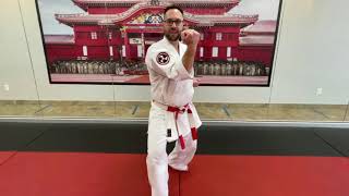 Kihon Kata #3