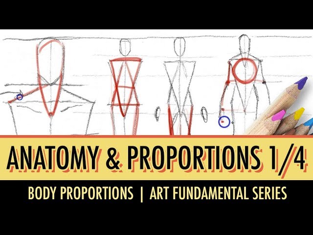 Day 22 // How to Draw Body Proportions • Bardot Brush