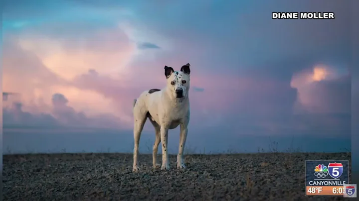 Snaps on Sunrise 12.08.2025