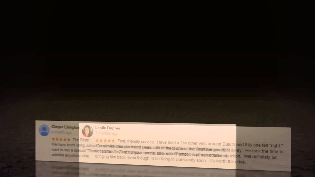 Johns Creek Veterinary Clinic , Johns Creek, GA Veterinary YouTube
