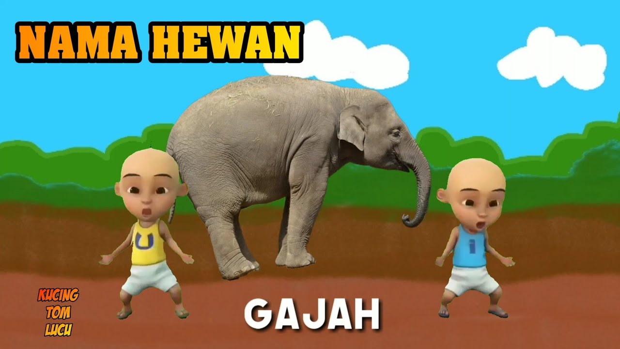 Ayo Belajar Nama hewan  seperti  gajah sapi ayam  kucing 