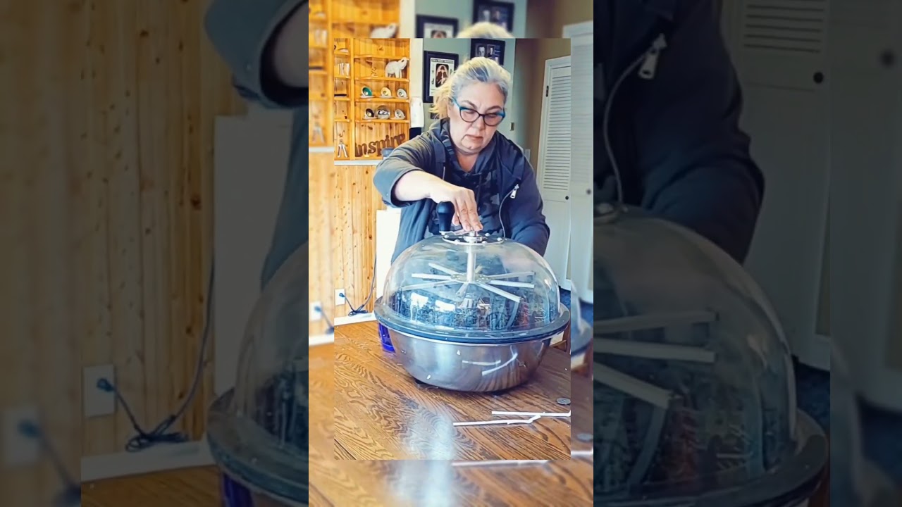 Looking for top-quality Cannabis seeds?