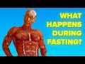 What Happens To Your Body When You Don't Eat (Fast)