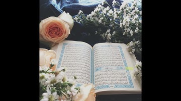 سورة الفاتحة _ للقارئ وديع اليمني