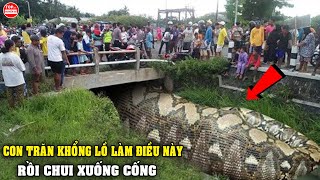 8 Phát Hiện Không Ngờ Và Gây Sốc Ở Dưới Cống Khiến Ai Xem Cũng Phải Rùng Mình Nổi Da Gà | T10HB