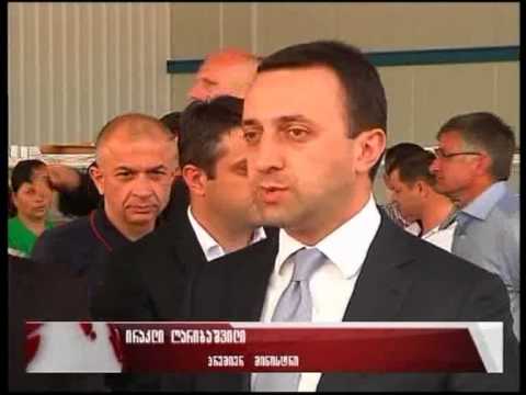 პრემიერ-მინისტრმა გურჯაანში ხილის გადამამუშავებელი საწარმო გახსნა