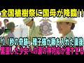 マスコミが報じない植樹祭「0.1秒の奇跡」皇后雅子様が鍬を入れた3秒後…緊張した少女へ誰にも気づかれぬよう見せられた美しすぎる神対応が凄すぎた【皇室・海外の反応】