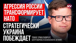 НАТО часів холодної війни – те, що нам потрібно – Томас Єрмалавічус