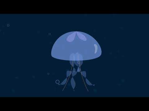 Jellyfish - After Effects Shapes