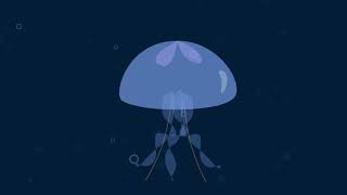 Famous Jellyfish - After Effects Shapes Profile