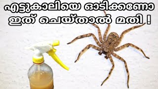 എട്ടുകാലിയെ തുരത്തി ഓടിക്കാൻ | How to kill & get rid of spider from home | how to remove spider