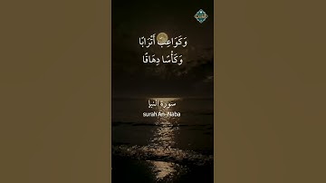 سورة النبأ