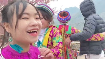 Sắc hoa Anh đào rực rỡ trên cao nguyên đá Đồng Văn xuân 2023