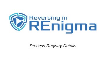Process Registry Details Analysis in REnigma