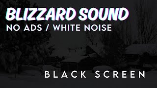 Immersive Blizzard Sounds | Harmonious Snowfall Sounds | Black Screen