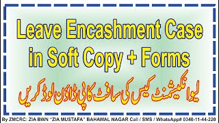 Leave Encashment Case in Soft Copy | How to Fill Leave Encashment Forms | Employees Corner Zia | screenshot 5