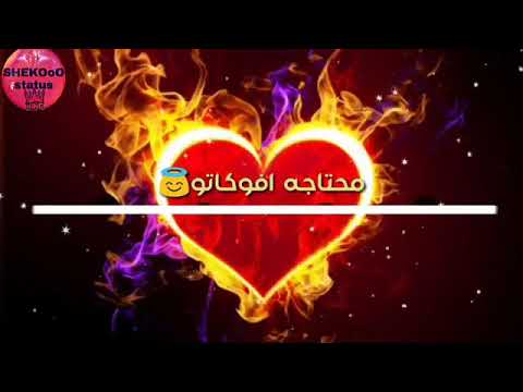 حاله واتس حمو بيكا 2019 عسل الجبل وغذاء ملكاته