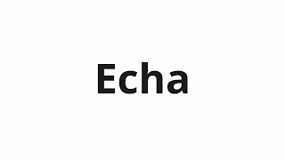 How to pronounce Echa