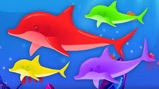 we are the dolphins dolphins song for kids nursery rhymes for children