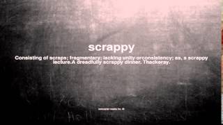 What does scrappy mean