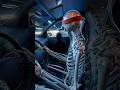 What Happens to Your Brain After Long Driving? #shorts #driving #shortsfeed