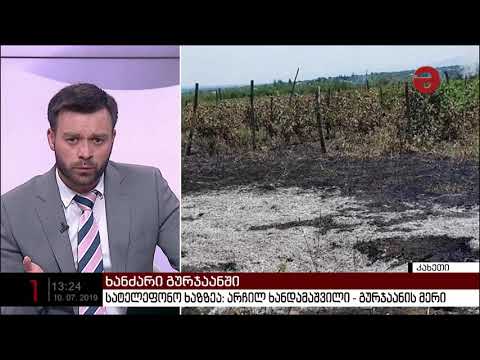 გურჯაანის მერი: „სამწუხარო ფაქტია, რომ ბაკურციხეში ხანძარს რამდენიმე ვენახი შეეწირა“