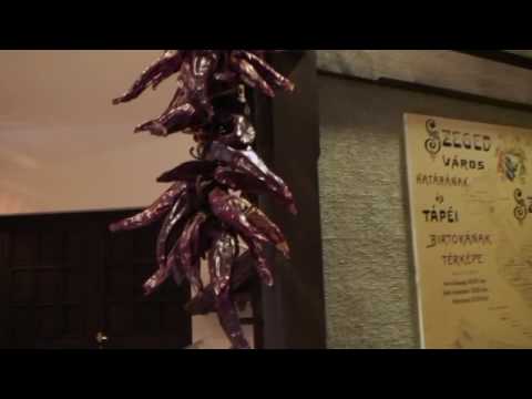 Video: Kalocsa, Hongaria - Ibukota Paprika Dunia