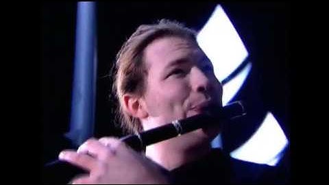 Slide - The Flying Pig