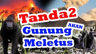 8 Tanda Tanda Gunung Akan Meletus