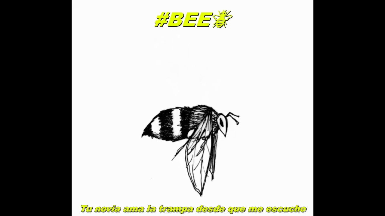 B E E  - FlowJamaika ft Firma un Anónimo