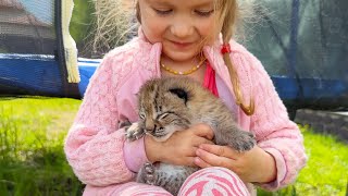 RESCUE OF LYNXES FROM DANGEROUS CLAWS OF KITTENS