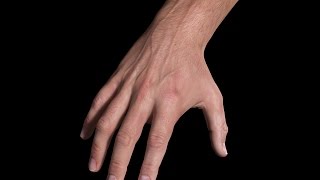 3D Hand Study | Andor Kollar - Character Artist