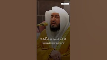 ‎قبس من تلاوة فضيلة الشيخ #بندر_بليلة من صلاة الفجر 3 جمادى الآخرة 1446هـ.