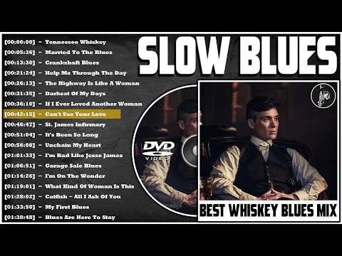 Top Blues Jazz Music 2024 - Best Blues Jazz Music 2024 - Blues Jazz Songs Playlist