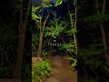【鹿児島温泉】知る人ぞ知る!穴場の温泉がヤバい#shorts