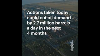 A 10-Point Plan to Cut Oil Use