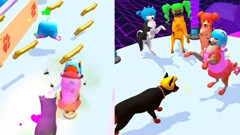 Groomer Run 3D- All Levels Gameplay Walkthrough Android İos NEW LEVELS