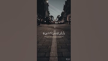 Al Najm  سورة النجم الايه 39  #quran #قرآن #قران_كريم #trending