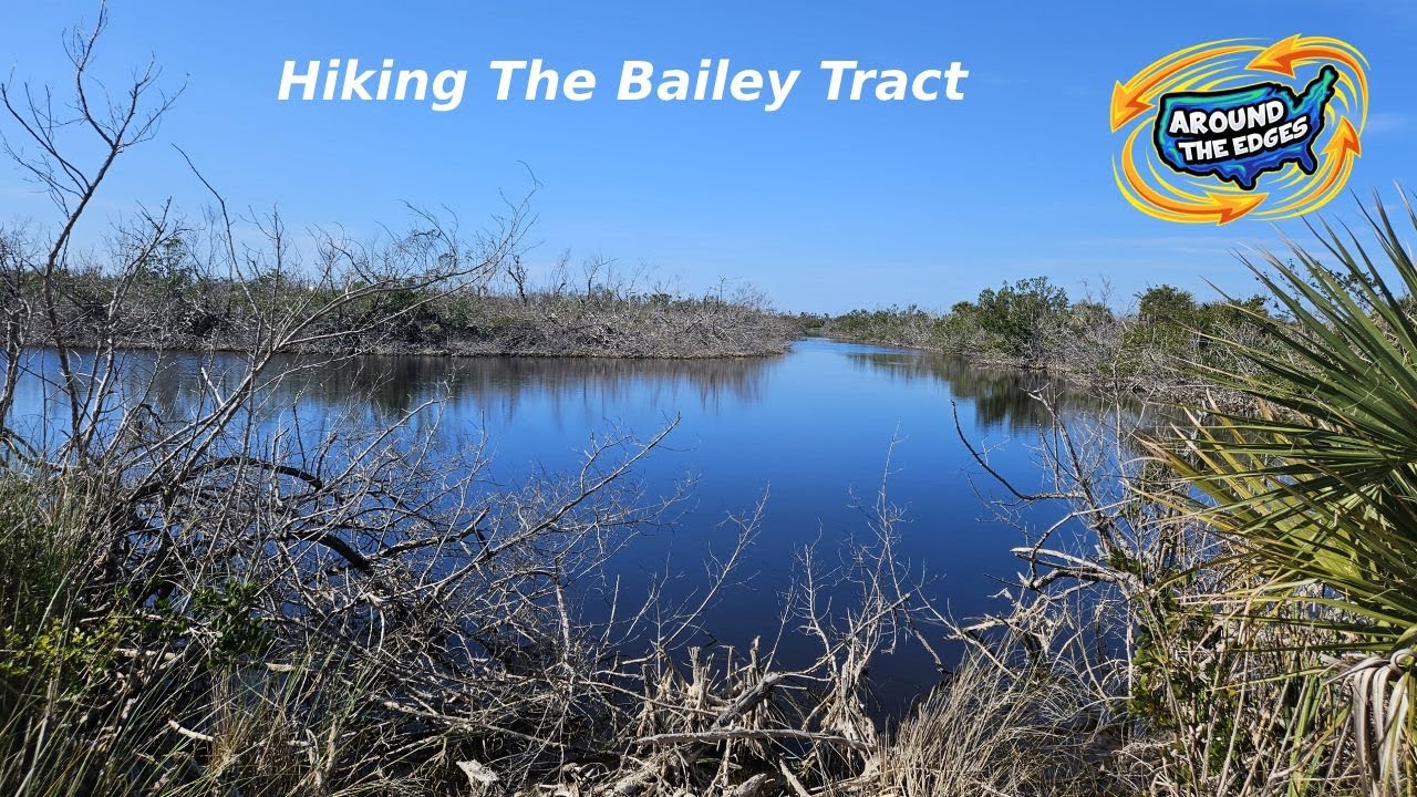 A Hike Through the Bailey Tract, Sanibel, FL, 4K, ASMR, No Commentary or Music