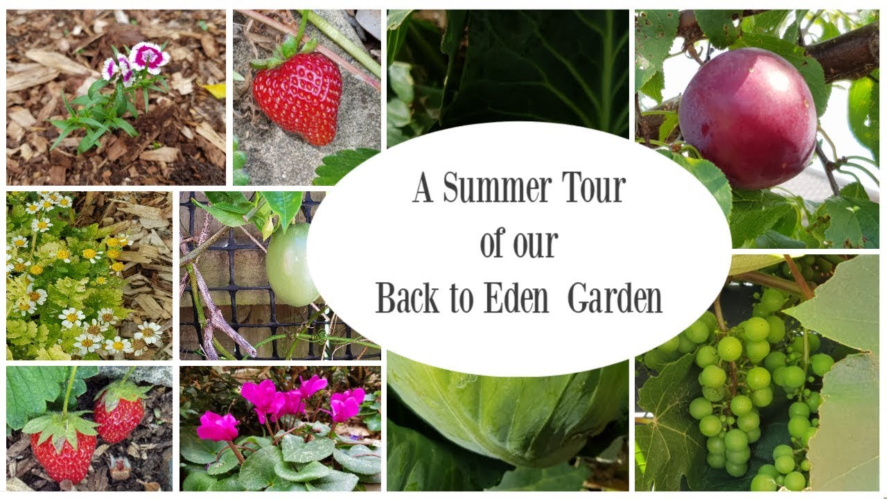 back to eden garden tour