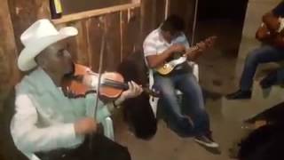 Download Lagu Son de carnaval de san pablito puebla MP3