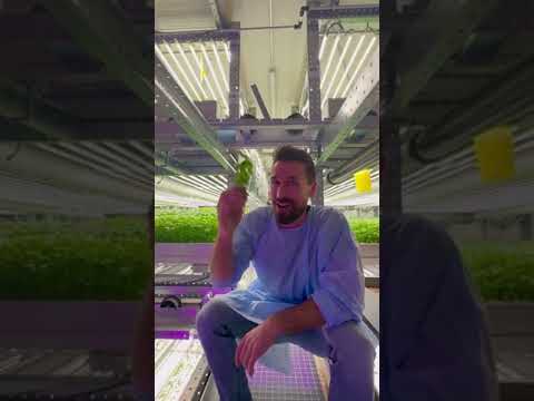 YASAI Farm Tour with Henry