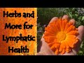 Herbs and more for lymphatic health