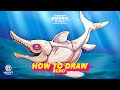 Hungry Shark | How to Draw Echo