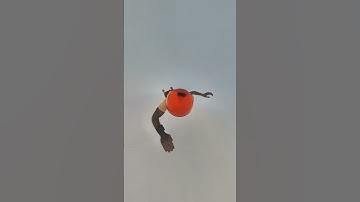Skydiving through a raincloud 🌧️   -  🎥 ericfinat