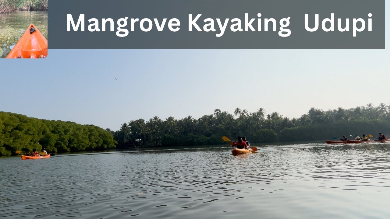 Mangrove Kayaking in Udupi | A Peaceful Adventure Through Nature | Sanchaarivinod