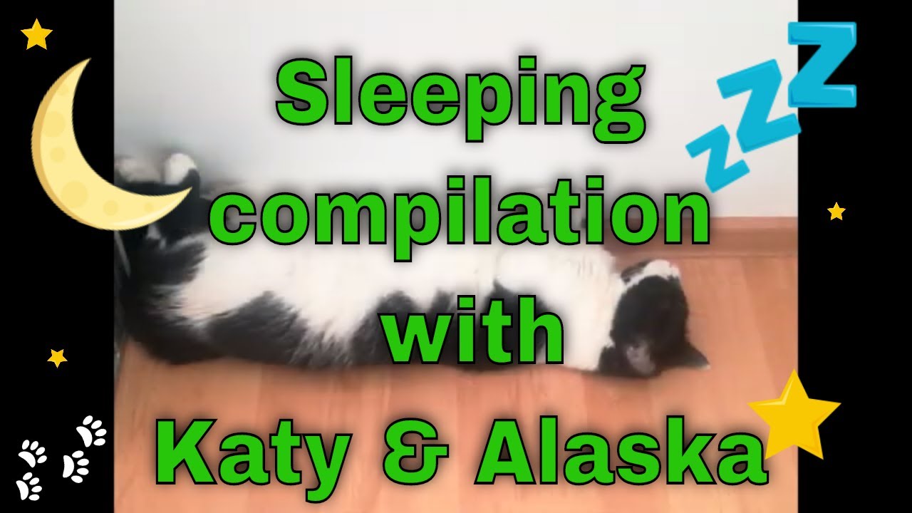 Sleeping compilation with Katy and Alaska